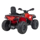 Quad na akumulator dla dzieci Can Am Outlander ATV Czerwony DK-CA005.CR